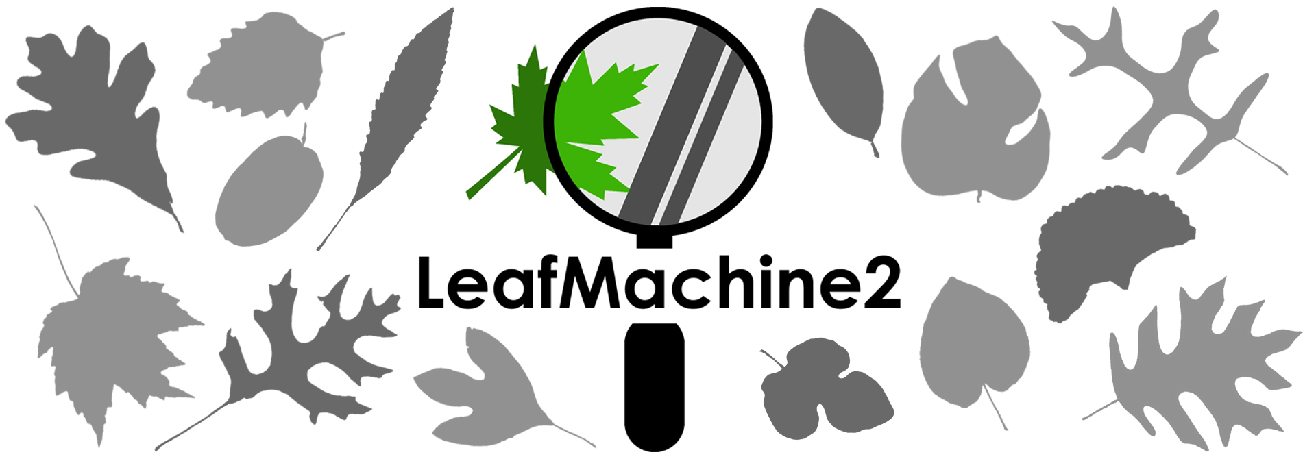 LeafMachine Image